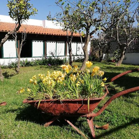 Casa Rural Limon Y Sol Саузал Екстериор снимка