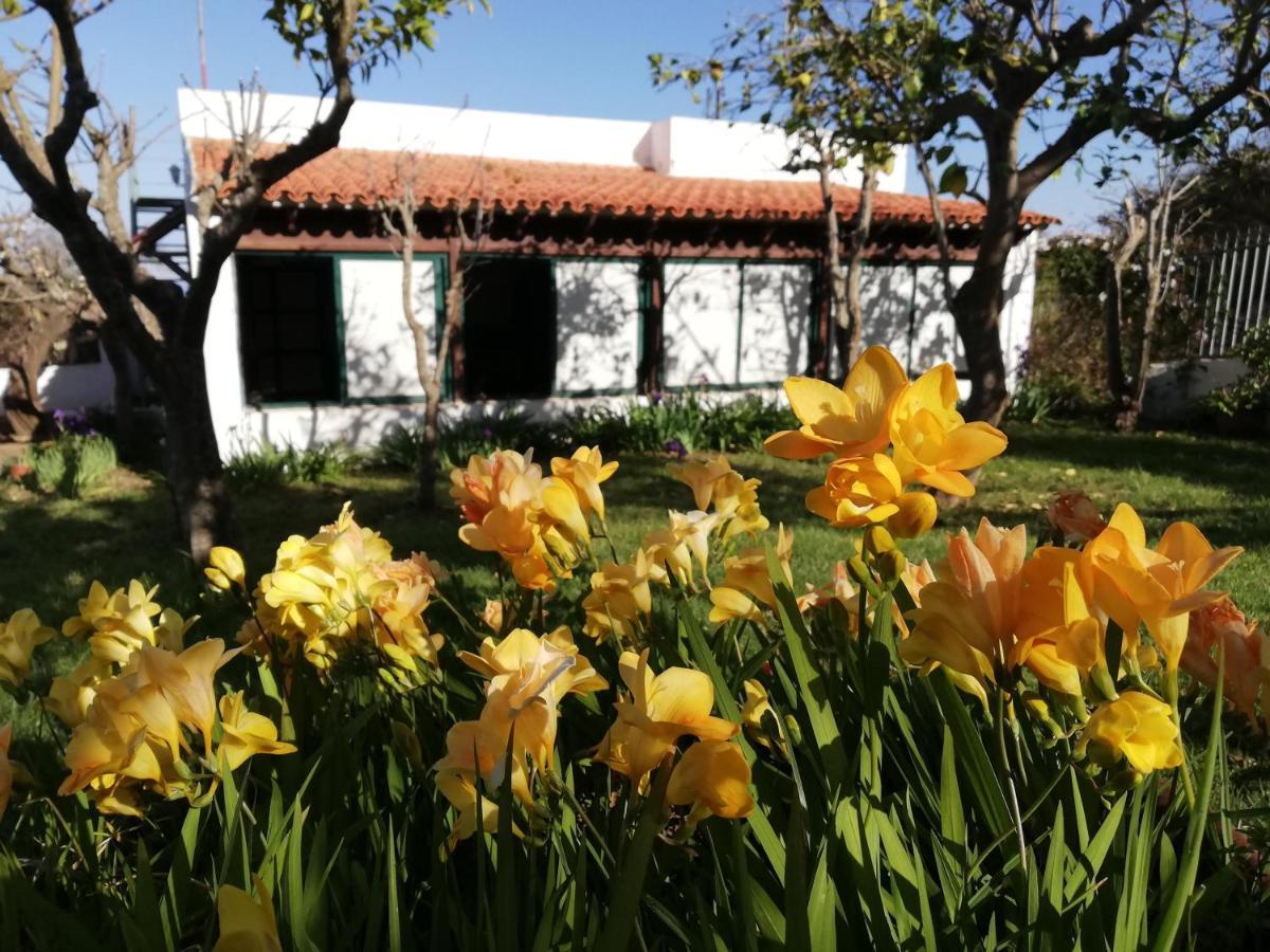 Casa Rural Limon Y Sol Саузал Екстериор снимка