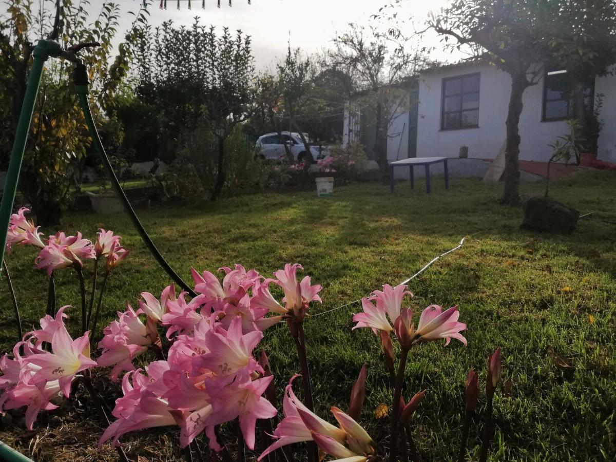 Casa Rural Limon Y Sol Саузал Екстериор снимка
