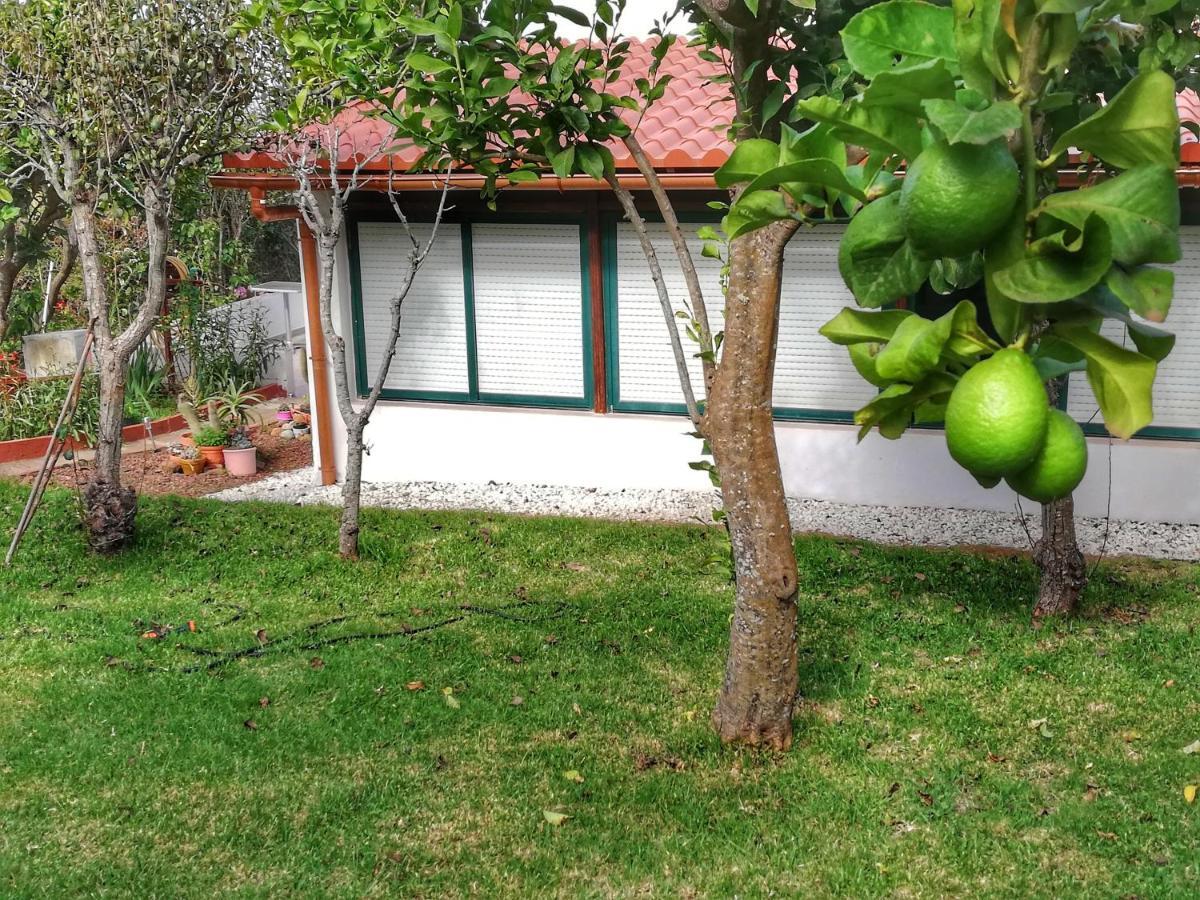 Casa Rural Limon Y Sol Саузал Екстериор снимка